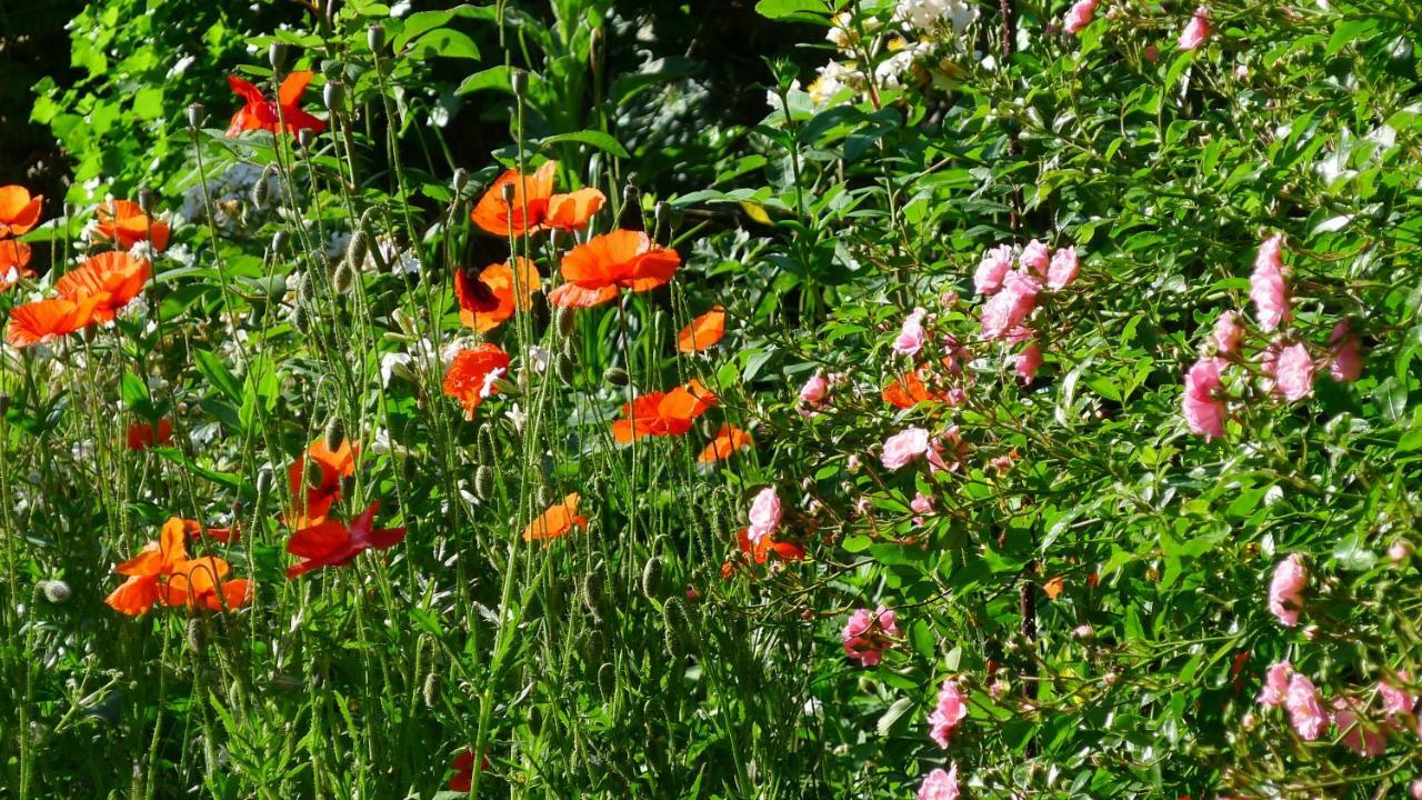 Bed and Breakfast Le Petit Potager Montbel  Exterior foto